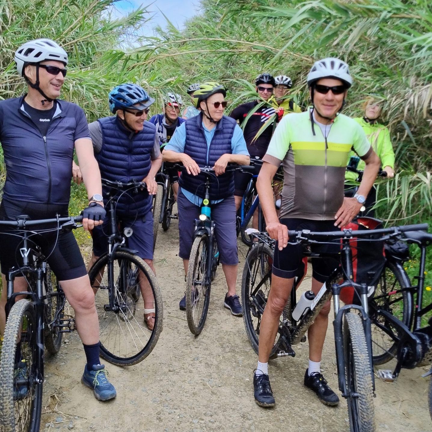Groep fietsers op smal pad tussen hoog riet